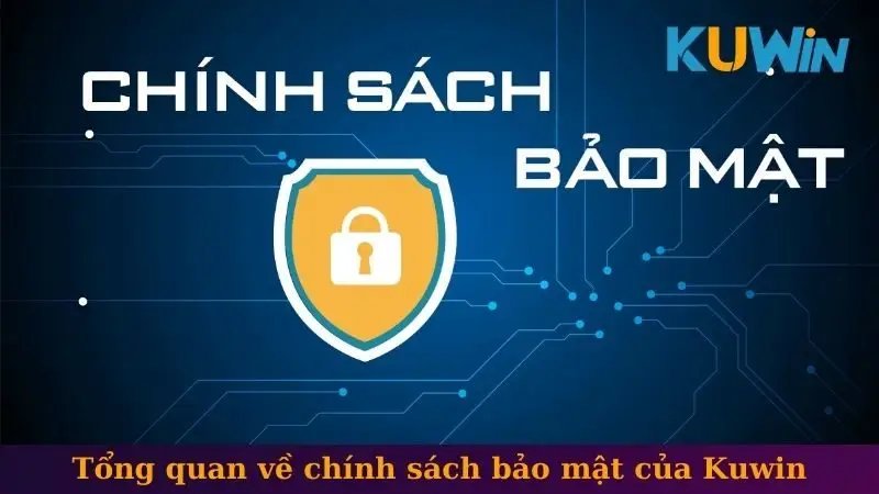 Tổng quan về chính sách bảo mật của Kuwin
